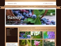 Готовый сайт № 30